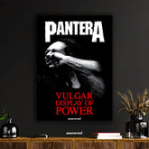 Pantera Vulgar Display of Power Album Art Poster